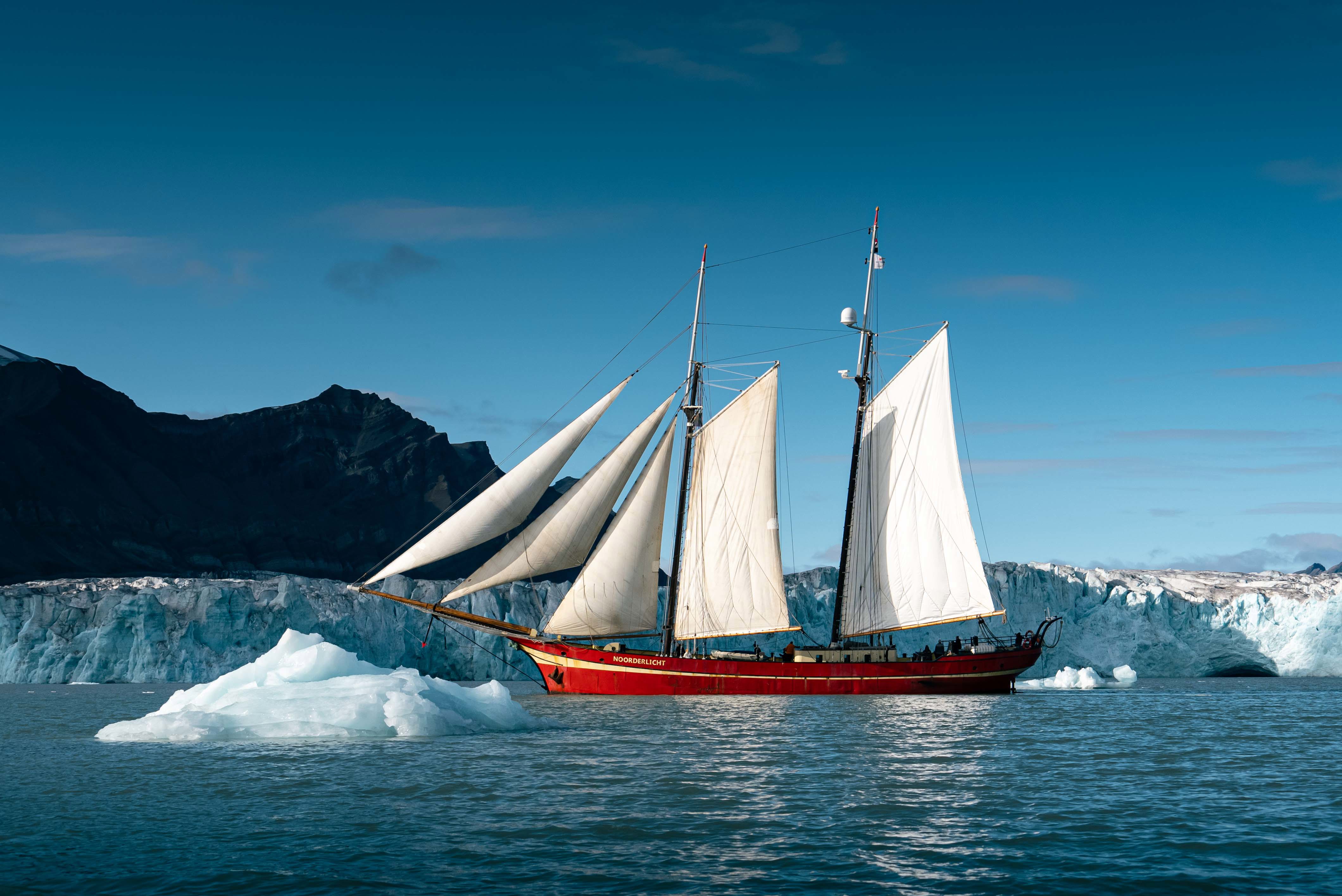 Charter Swan Expeditions