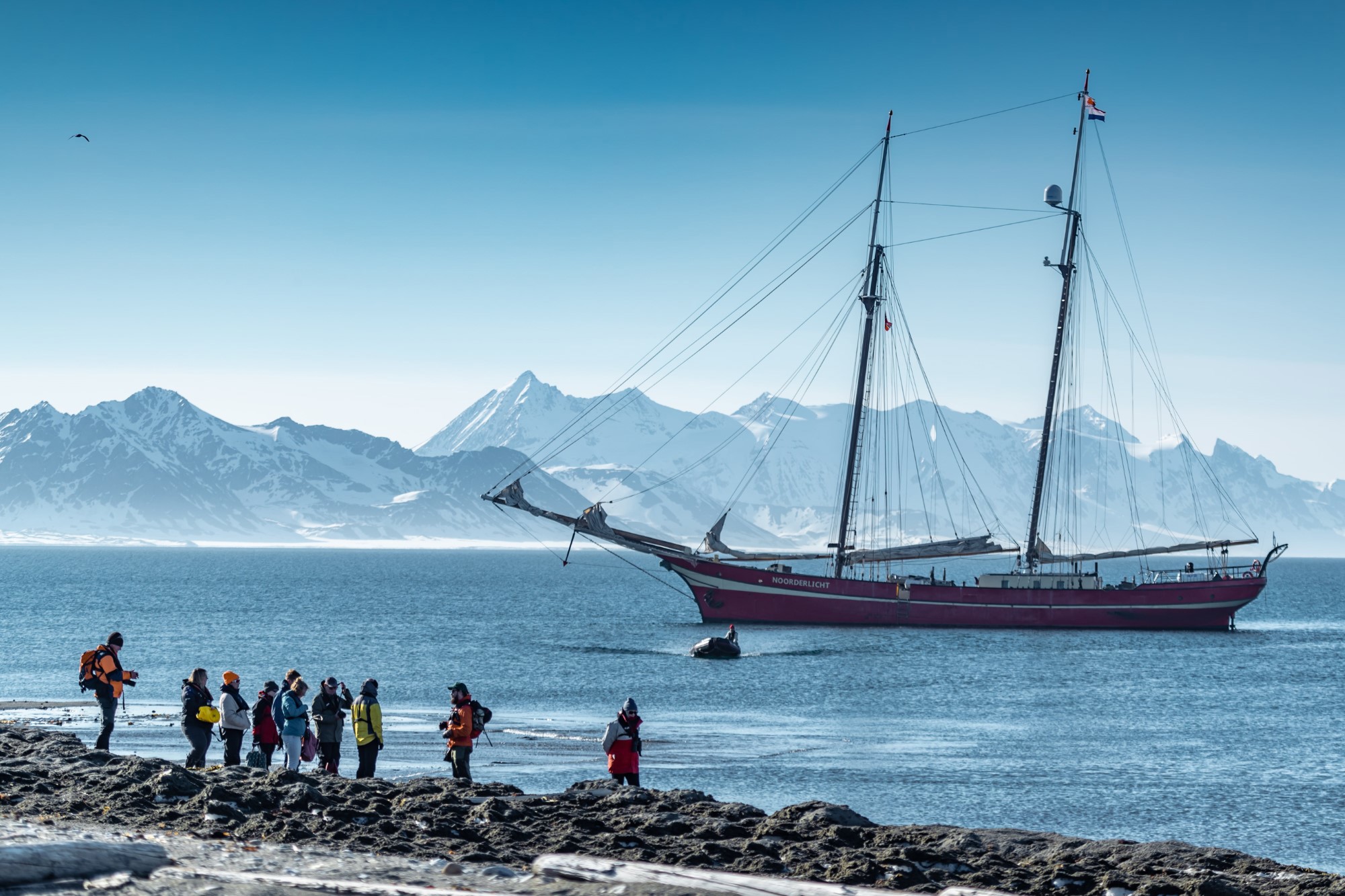 Charter Swan Expeditions